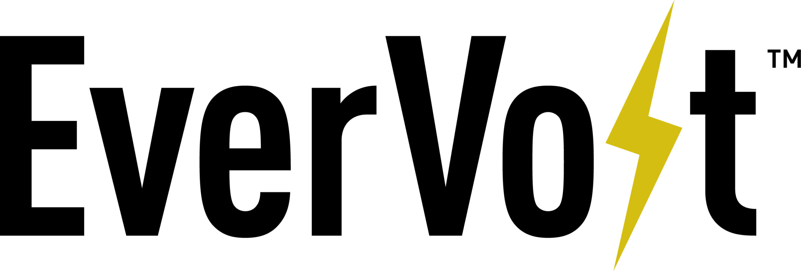 EverVolt Logo in Black